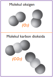 gambar+molekul+unsur+oksigen+dan+molekul+senyawa+karbon+dioksida