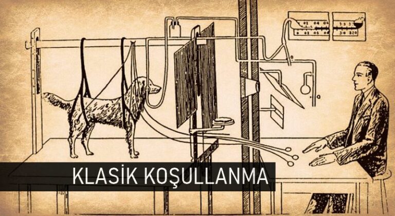 klasik kosullanma 800x438